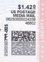 Statue of Liberty and Flag - Media Mail