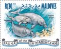 Dugong (Dugong dugon)