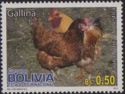 Chicken (Gallus gallus domesticus)