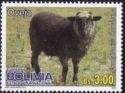 Domestic Sheep (Ovis aries)
