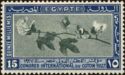 International Cotton Congress - Branch of Cotton