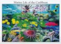 Marine Life of the Caribbean