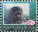 Weddell Seal (Leptonychotoes weddelli)