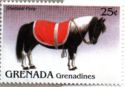 Shetland pony