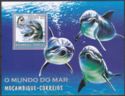 Marine Life - Dolphins