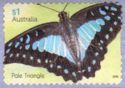 Pale Triangle (Graphium eurypylus)