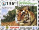 Royal Bengal Tiger