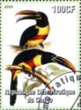 Birds Toucans