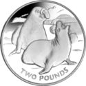 2 Pounds (Elephant Seal - Silver)