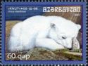 Polar Bear (Ursus maritimus) - "Knut"