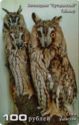 3 Owls