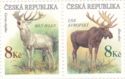 Western Red Deer (Cervus elaphus), Moose (Alces alces)