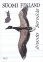 Brent goose (Branta bernicla)