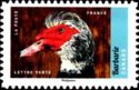 Stamp:-Muscovy-duck-(Cairina-moschata)-(France)