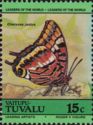 Two-tailed Pasha (Charaxes jasius)