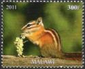 Chipmunk