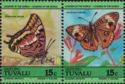Two-tailed Pasha & Common Buckeye