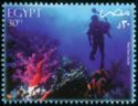 Red Sea Corals and Diver