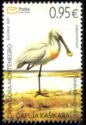 Eurasian Spoonbill (Platalea leucorodia)