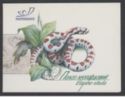 Leopard Snake (Elaphe situla) - Booklet