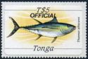 Yellowfin Tuna (Thunnus albacares)