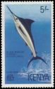 Black Marlin (Makaira indica)