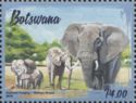 Elephants in Botswana