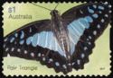 Pale Triangle (Graphium eurypylus)
