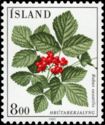 Rubus saxatilis