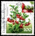 Cranberry (Vaccinium vitis-idaea)