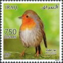 European Robin (Erithacus rubecula)
