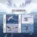 Seabirds