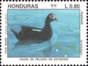 Stamp:-Muscovy-Duck-(Cairina-moschata)-(Honduras)