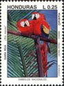 Scarlet Macaw (Ara macao)