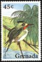 Cuban Tody Todus multicolor