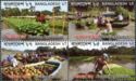 The Floating Markets & Agriculture of Bangladesh