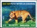 Bengal Tiger (Panthera tigris tigris)