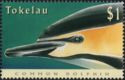 Common Dolphin (Delphinus delphis)