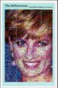 Princess Diana as a Flower Photomosaic