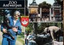Zoo Antwerp
