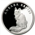 20 New Lira (Turkish Angora - Ankara kedisi - Felis catus - mismatched colored eyes)