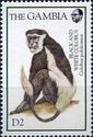 Black and white colobus (Colobus polykomos) (see Description