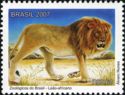 Lion (Panthera leo)