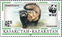 Marbled Polecat (Vormela peregusna)