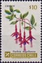 Chilco (Fuschia magellanica)
