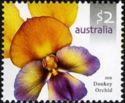 Donkey Orchid (Diuris magnifica)