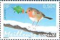 European Robin (Erithacus rubecula)