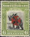 Sumatran Rhinoceros with Maltese Cross