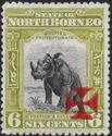 Sumatran Rhinoceros with Maltese Cross