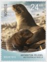 Antarctic Fur Seal (Arctocephalus gazella)